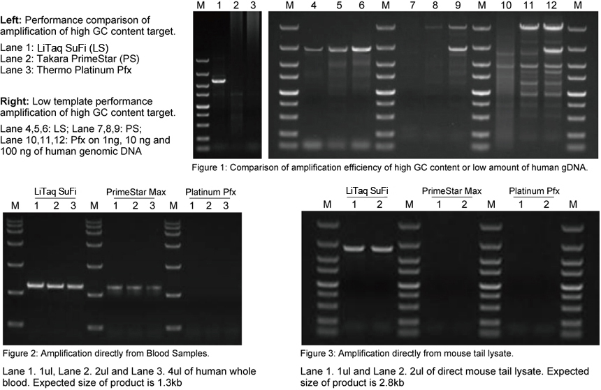 high fidelity pcr master mix